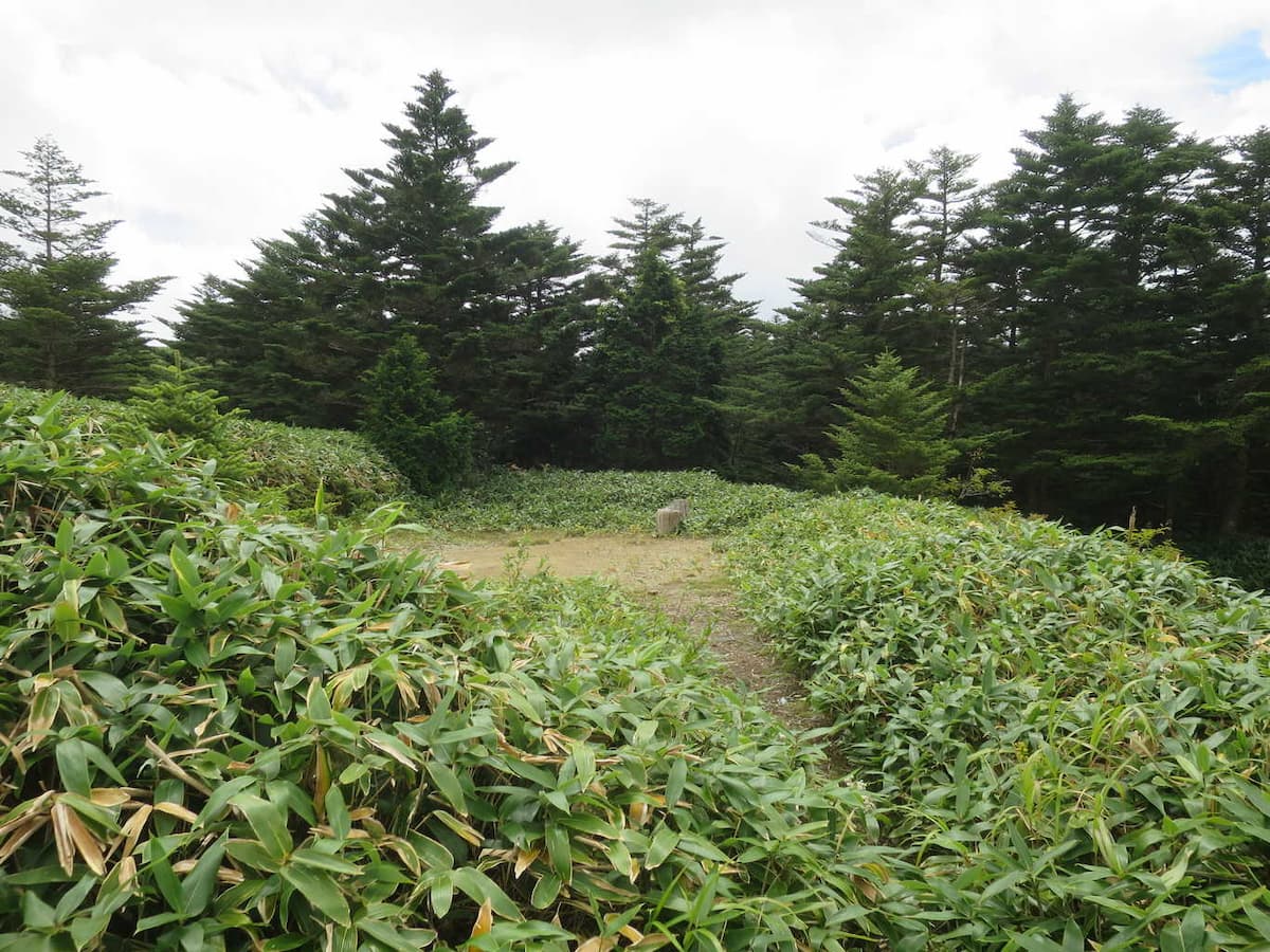 瓶ガ森第二キャンプ場 - 石鎚山へ登頂前に滞在したい！