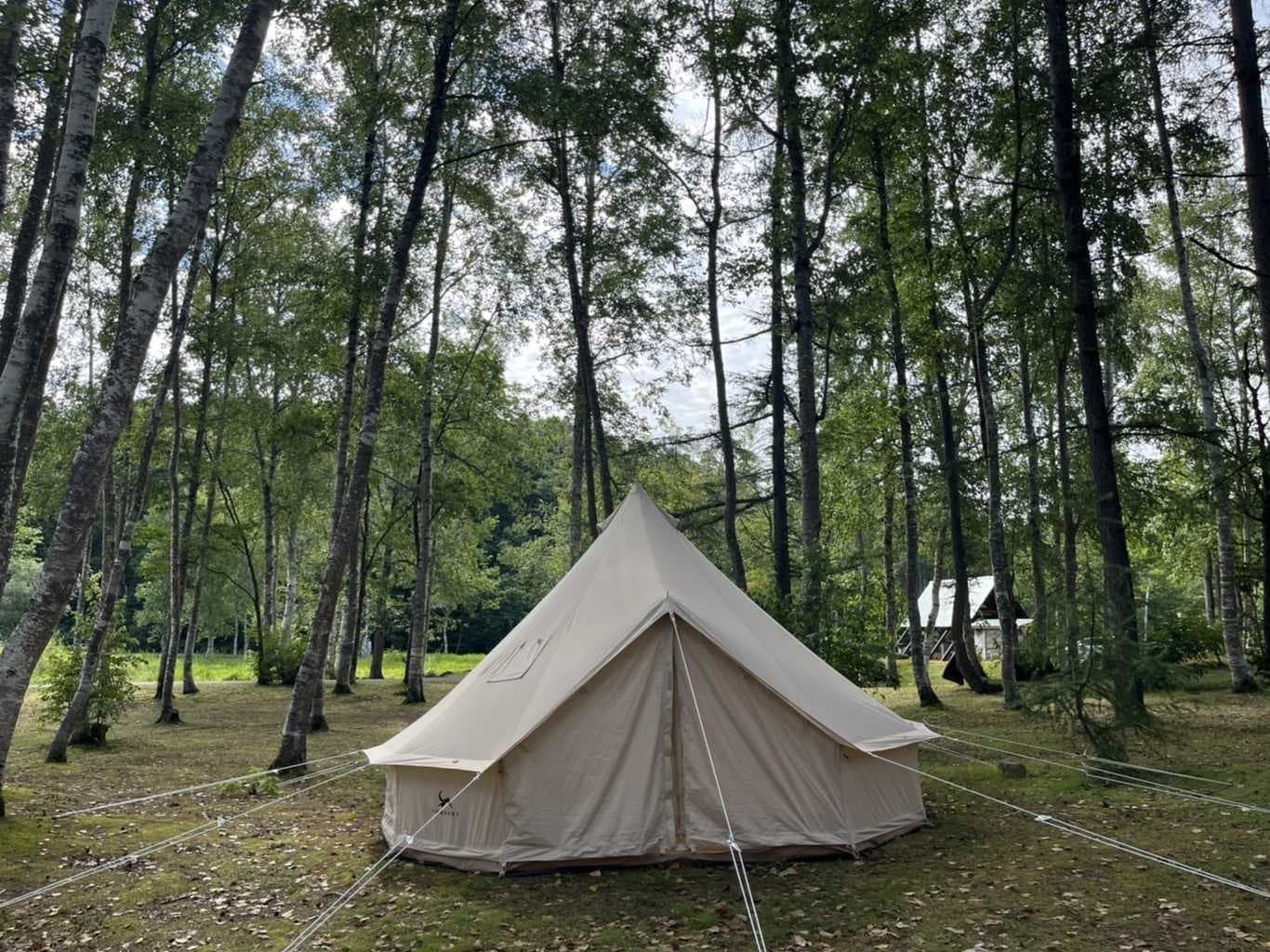 南丘森林公園キャンプ場