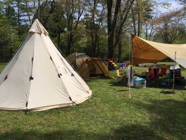 下田公園キャンプ場 - 白鳥を観察できるキャンプ場