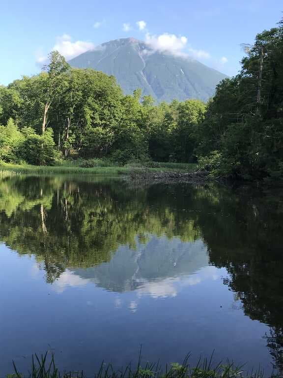 MEMUの森キャンプ場（旧：羊蹄ぼうけんの森キャンプ場（冒険家族））  - 羊蹄山の麓・森で過すキャンプ場です。澄んだ空気・風の音・冷たい湧水・・・自然大好き派へおすすめ！