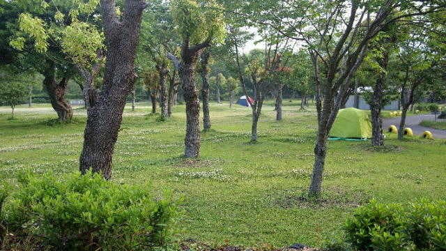 かいもん山麓ふれあい公園 - 広々とした空間で快適キャンプ