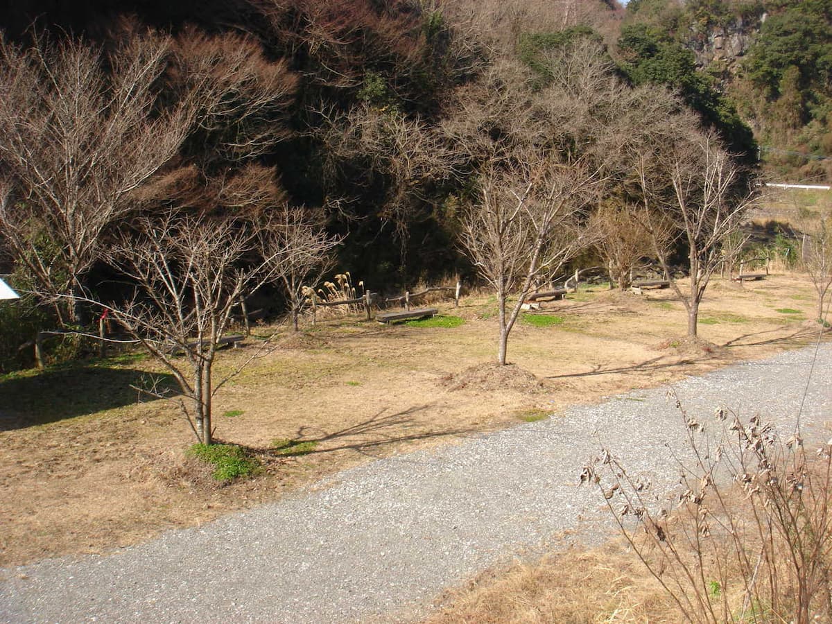 青葉の瀬（あおばんせ） - 川沿いで大自然を満喫！