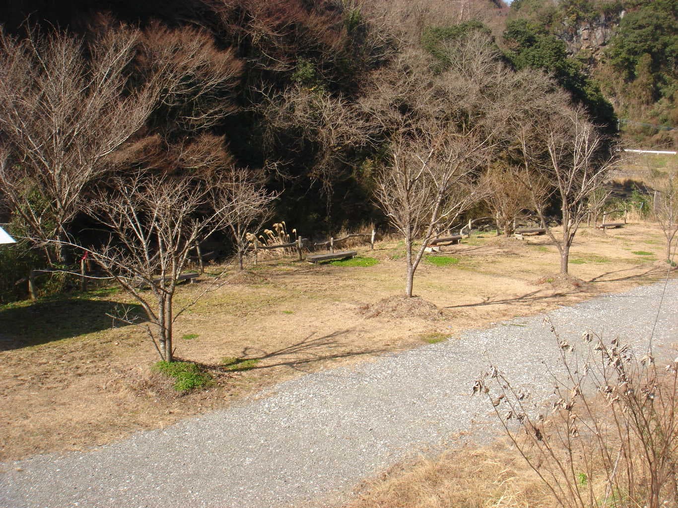 青葉の瀬（あおばんせ）