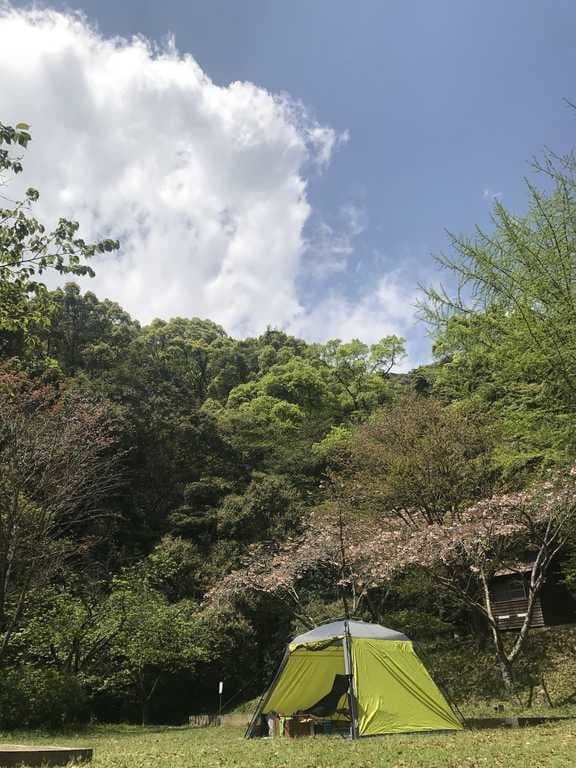 竜門キャンプ場 - 竜門キャンプ場