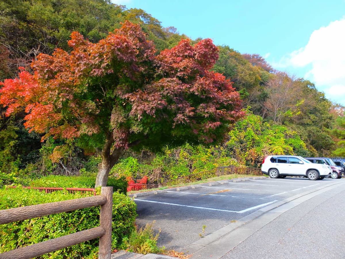 しあわせの村オートキャンプ場 - 広大な自然の中でキャンプを楽しむことができるオートキャンプ場