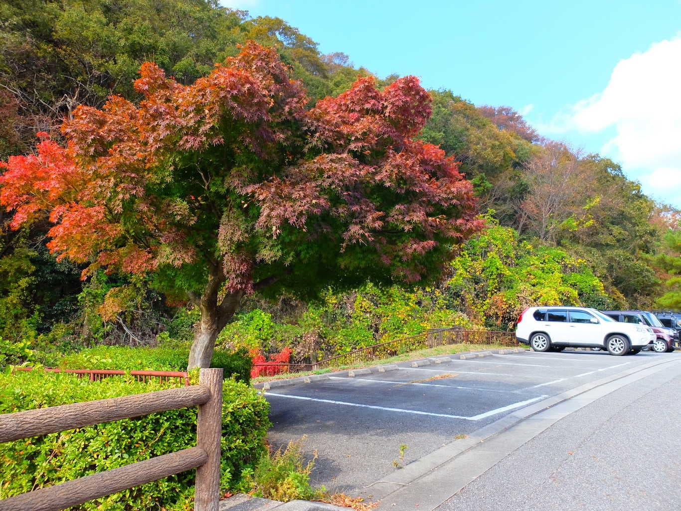 しあわせの村オートキャンプ場