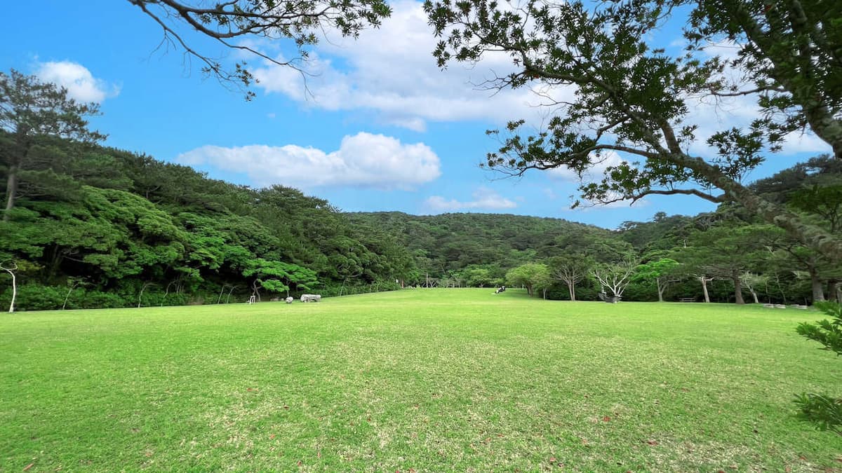 沖縄県　県民の森 - 自然の中でいっぱい遊ぼう＼♪／